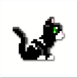 Pixel Cat Posters and Art